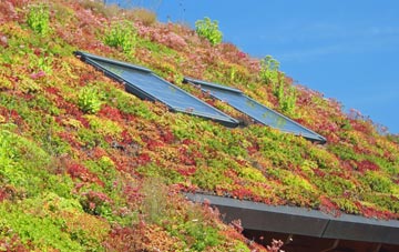 High Hatton living roof systems
